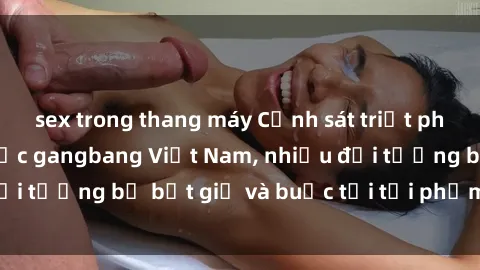 sex trong thang máy Cảnh sát triệt phá đường dây tổ chức gangbang Việt Nam, nhiều đối tượng bị bắt giữ và buộc tội tội phạm hình sự.